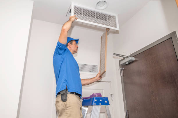 Best Air Duct Cleaning Near Me  in Plainwell, MI